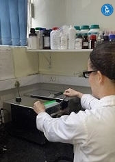 PCR preparation