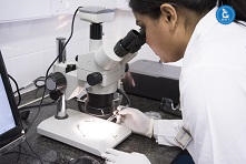 microlab