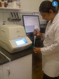 PCR